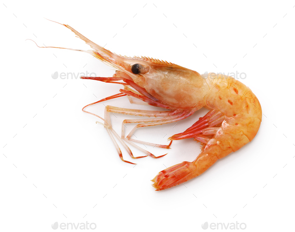 botan shrimp ( Pandalus nipponensis ) isolated on white background ...