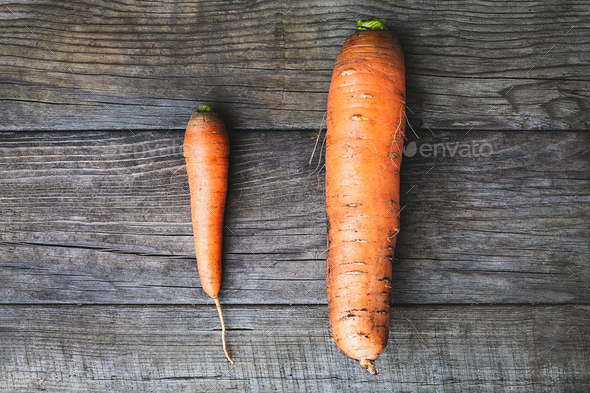 Big and small carrots, size matters concept, self esteem, self confidence and size issue