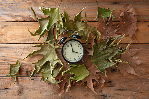 Daylight Saving Time, Fall Back. Black clock and autumn leaves on wood