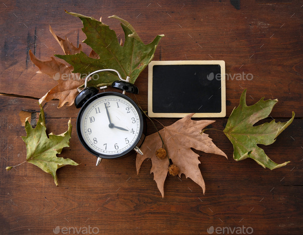 Fall Back, Daylight Saving Time. Black clock and autumn leaves on wood
