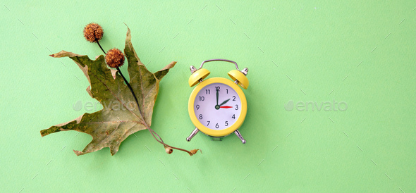 Fall Back, Daylight Saving Time. Yellow clock and autumn leaves on green