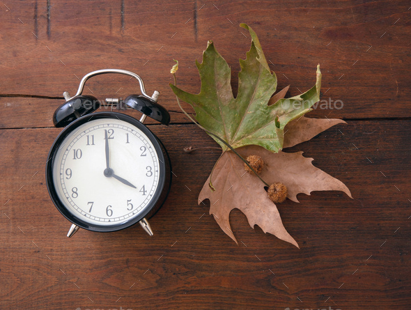 Fall Back, Daylight Saving Time. Black clock and autumn leaves on wood