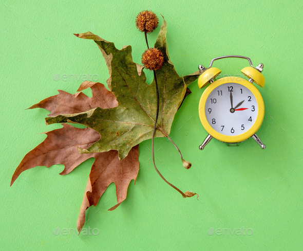 Fall Back, Daylight Saving Time. Yellow clock and autumn leaves on green