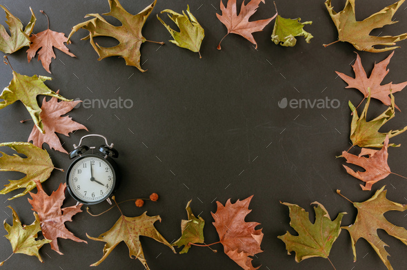 Fall Back, Daylight Saving Time. Black clock and autumn leaves frame