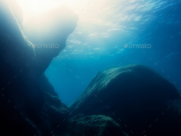 background of a rocky seabed softly lit by the sun