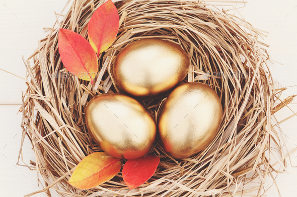 Nest egg, golden eggs in nest with autumn leaves, fall financial offer campaign background