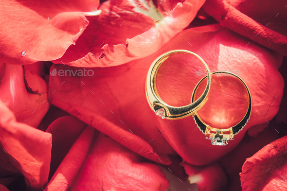 Wedding Ring in Rose, Will you marry me?,valentine Day