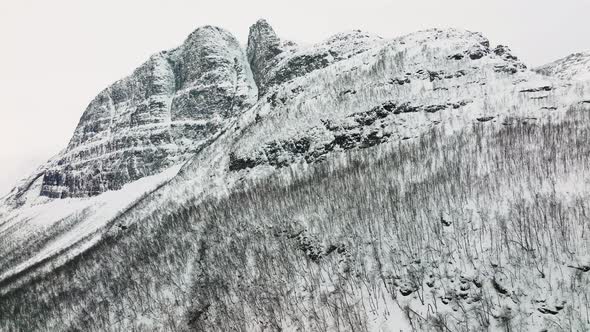 Cold gray ice mountain. Icy rock with frozen vegetation. Winter alps. Norway. alt