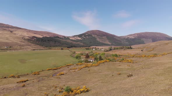 Drone View Of Gorse Plants In Valley Glenbrittle Isle Of Skye Aerial Summer 4K Cine D