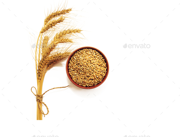 Ears of wheat in bowl isolated on white background. The problem of Ukrainian wheat exports