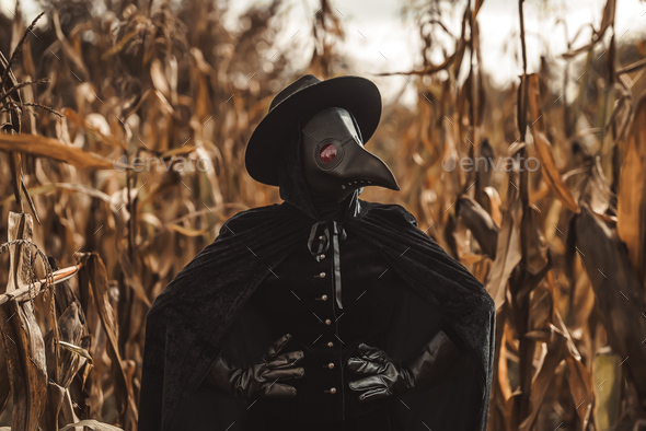 Plague doctor gothic woman standing in autumn thickets of corn. Creepy raven mask, halloween