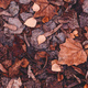 Dry brown leaves fallen on the ground as autumn season background - PhotoDune Item for Sale
