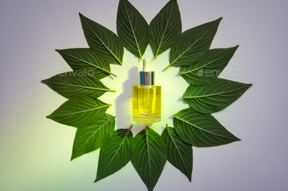 face oil in green leaf frame with green spotlight