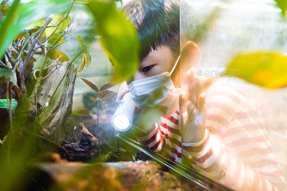Asian elementary student hold flash light to botany glass aquarium to observe ecology