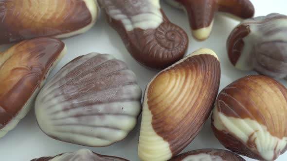 Rotation Seashell Chocolates Background 2 alt