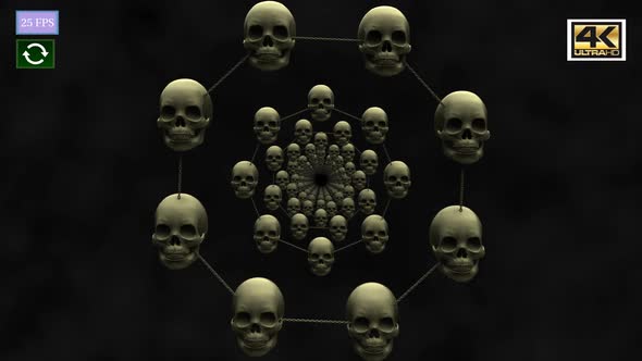 Skull Circle 4K