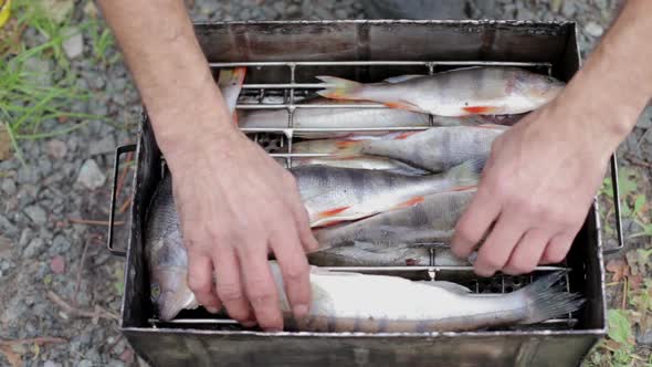 The Process of Smoking of Fish alt