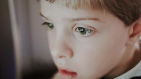 Portrait Of Boy With Blond Hair. Calm Boy With Conceived Facial Expression. alt