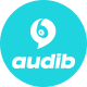 Audib - Audio Store WooCommerce Theme