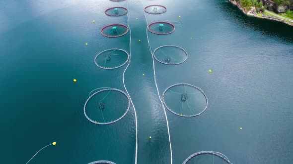 Aerial Farm Salmon Fishing in Norway alt