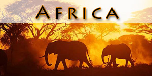 Africa