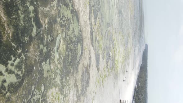 Zanzibar Tanzania  Vertical Video of Low Tide in the Ocean Near the Coast Slow Motion alt