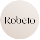 Robeto - Multipurpose WooCommerce Theme