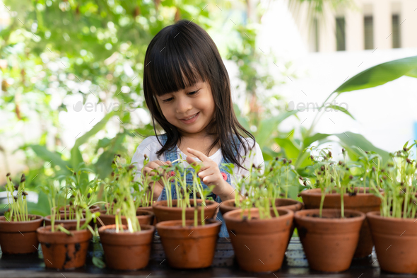 Active asian little girl watching on the seed of the plant to learn how ...