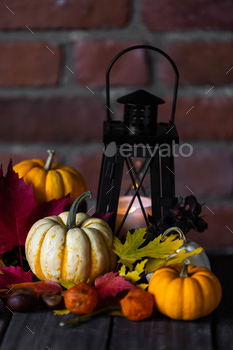 Cozy home fall composition with orange munchkin pumpkins, yellow and red leaves