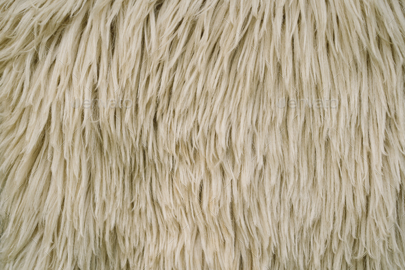 Natural fluffy fur sheep wool skin texture. Sheepskin Background - Stock Photo - Images