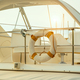 Life buoy on the yacht - PhotoDune Item for Sale