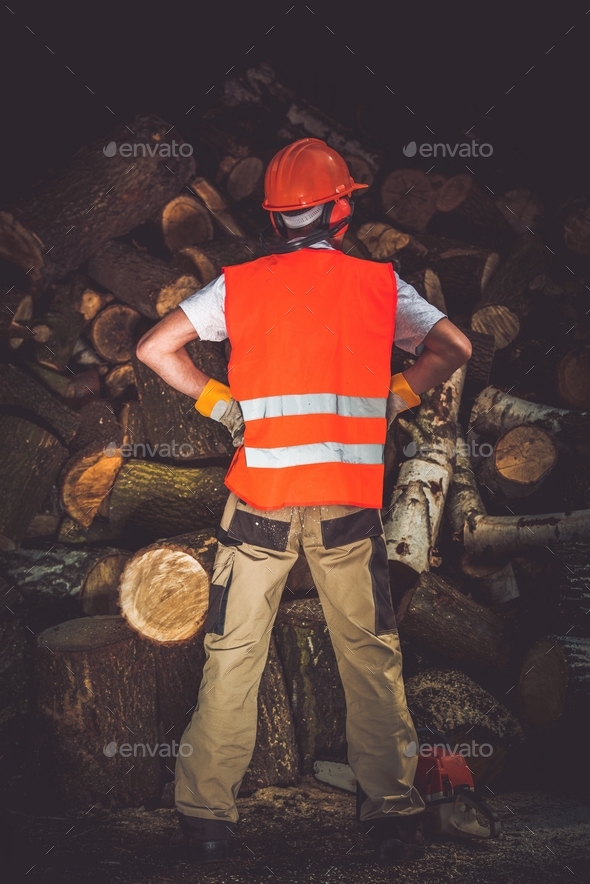 Firewood Job Well Done Stock Photo by duallogic PhotoDune