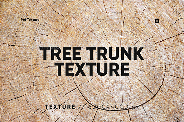 20 Tree Trunk Textures