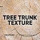 20 Tree Trunk Textures