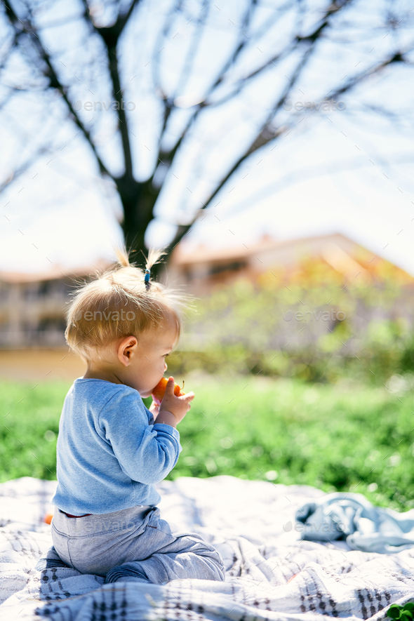 Little girl sits on her knees on a blanket on a green lawn and chews a persimmon, holding it in her