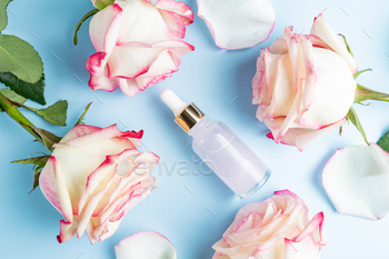 Cosmetic serum with essential rose oil and roses on a blue background. A natural product 
