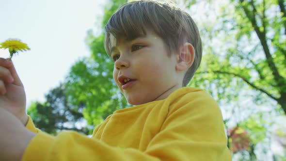 Boy playing with a dandelion alt