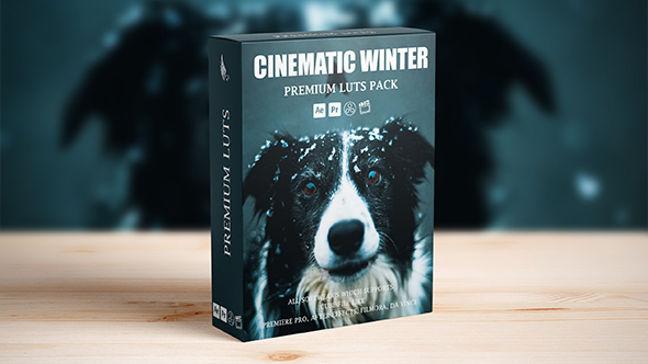 Cinematic Snow Winter Video LUTs Pack