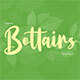 Bottairs Script Font