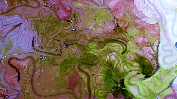 Abstract Colorful Ink Spread Art 087 alt