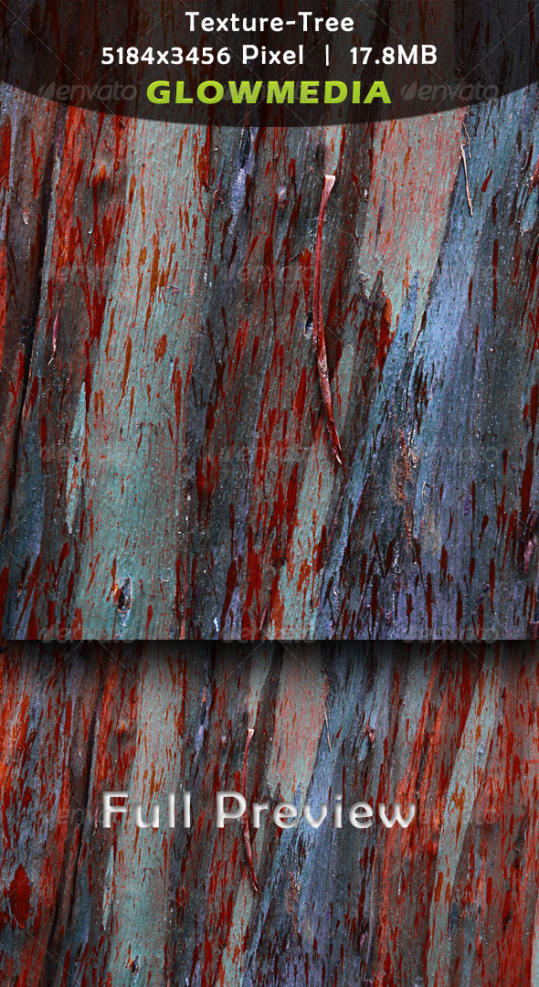 Tree Texture - Nature Textures