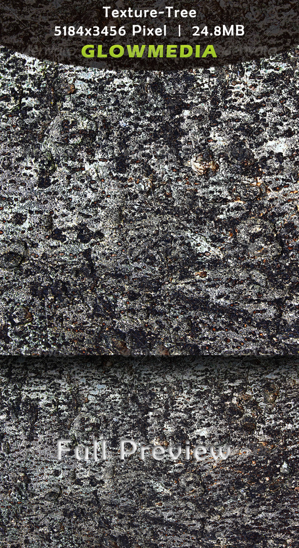 Tree Texture - Nature Textures