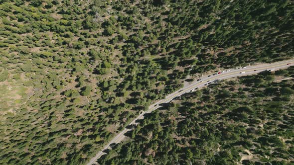 Road crossing the wood uphill the valley going to lake Tahoe alt
