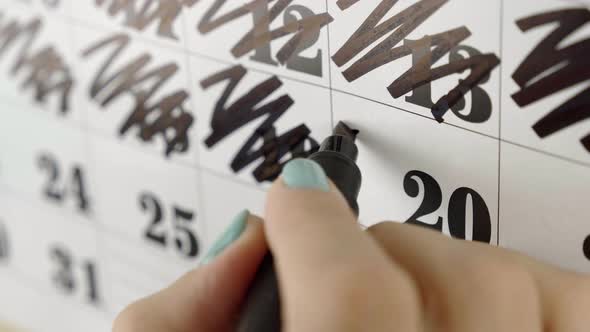 Female Hand Crosses with Red Marker the Calendar Day 24. Slow Motion Shot. Close Up