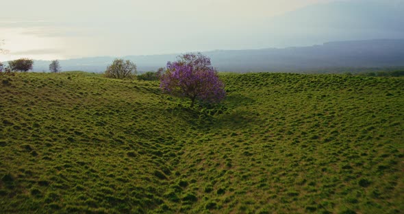 Aerial View of Beautiful Countryside at Sunset alt