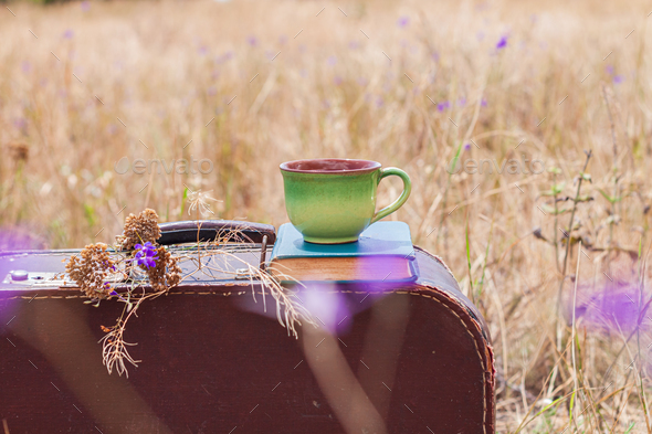 Brown vintage suitcase book purple flowers cup of tea grass background Atmospheric retro still life.
