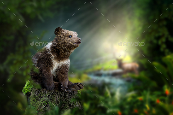 Bear cub sits on a stump in the middle of the forest