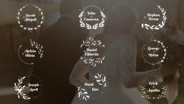 30 Elegant Wedding Titles