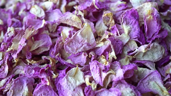 Rotation Tea Rose alt