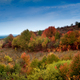autumn colorful trees. A picturesque panoramic view of hills - PhotoDune Item for Sale